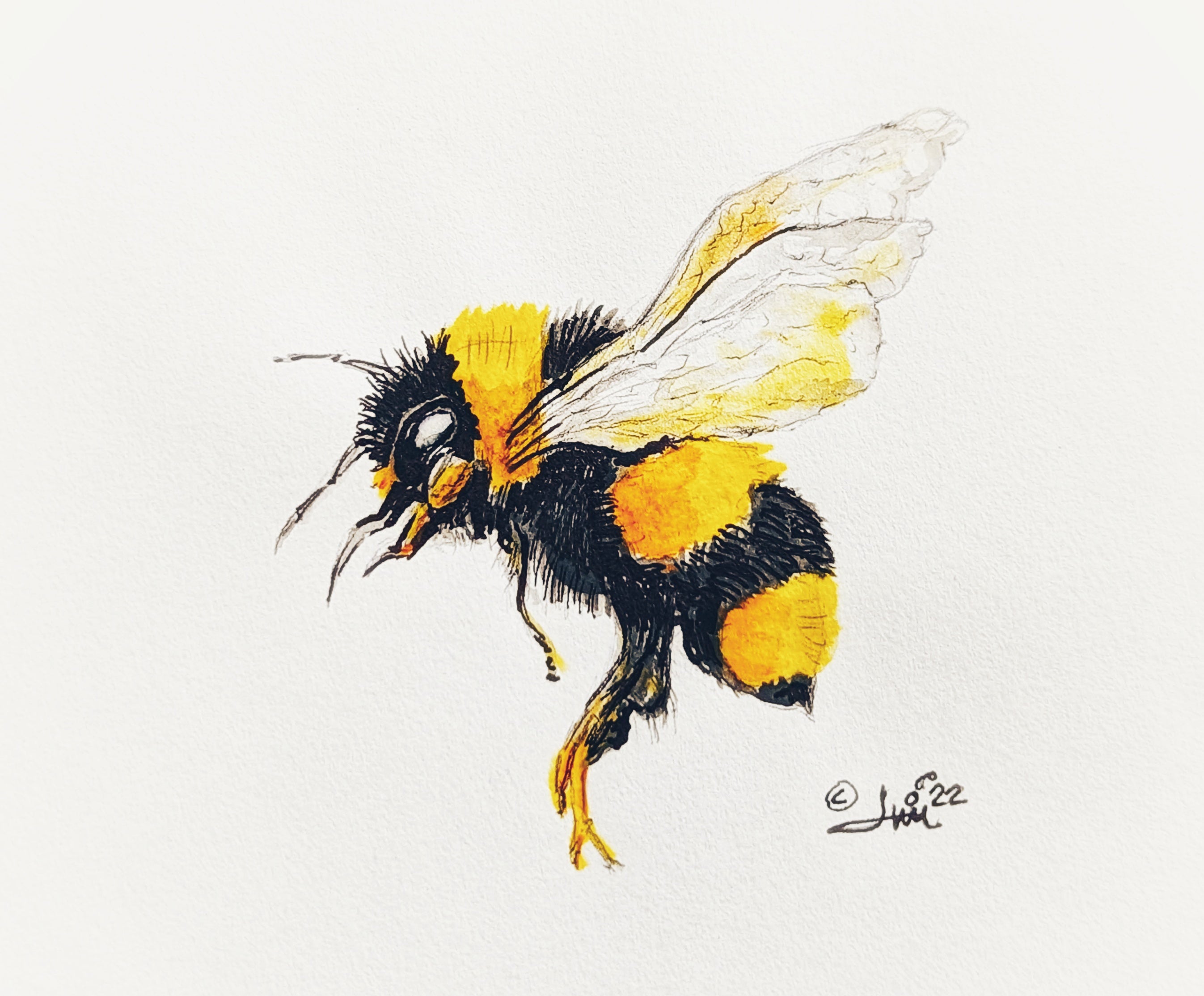 A print of my original artwork of a flying bee in yellow and black. The original was drawn and painted in  pen, and watercolor. 